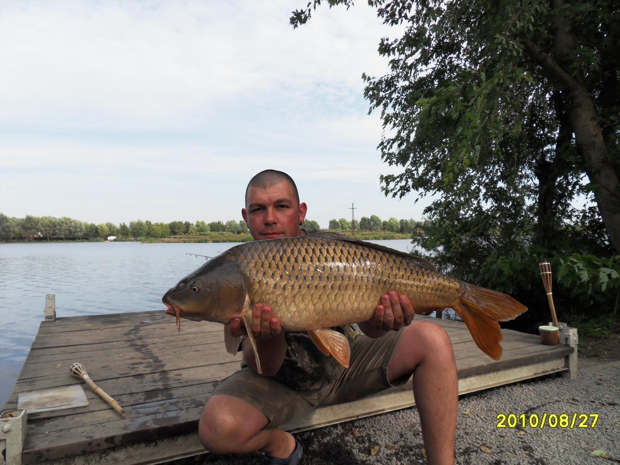 Nagykallo 2010 - nagykallo-86.JPG